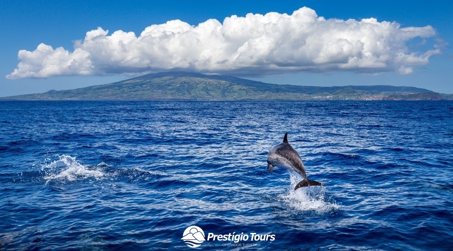 Faial, São Jorge e Pico - 4 Dias