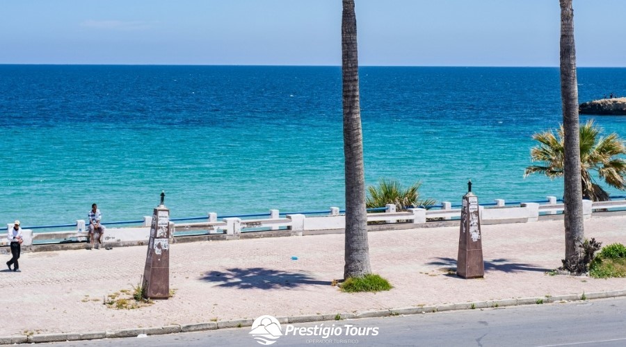 O Melhor da Tunísia